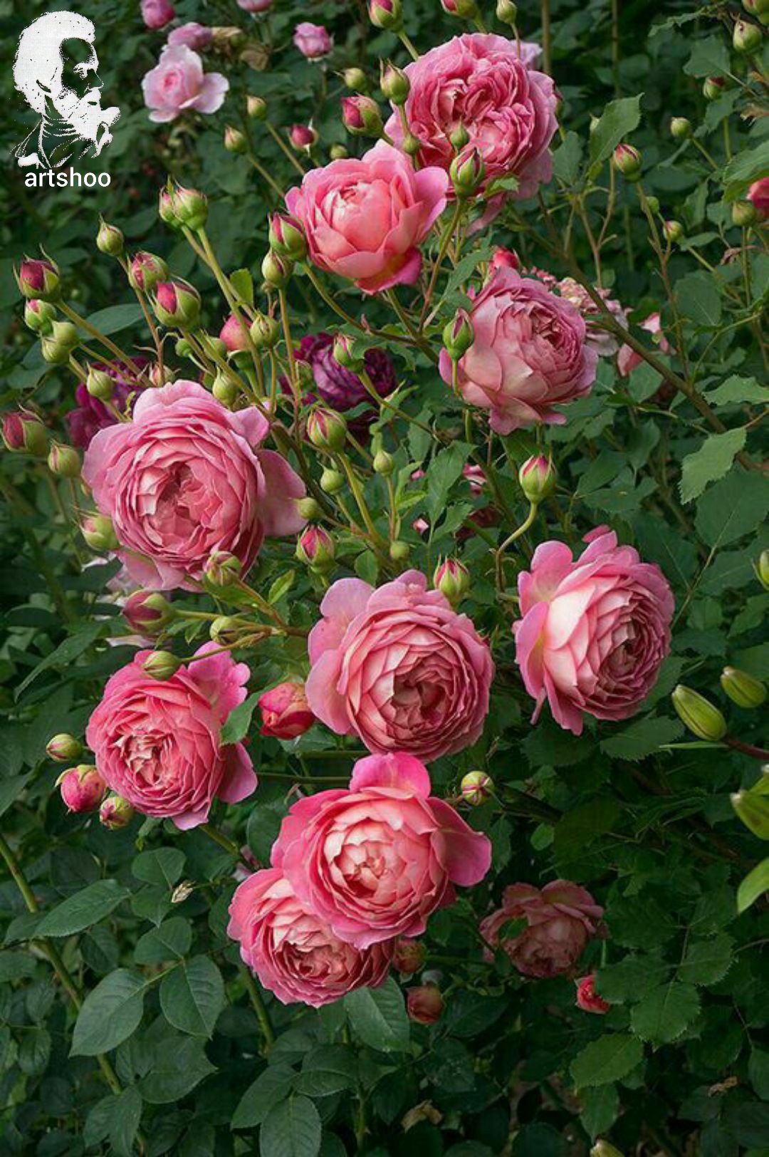 گل اورژینال رنگ روغن